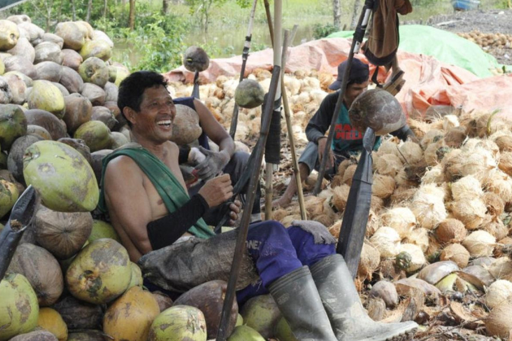 daging kelapa Semarang